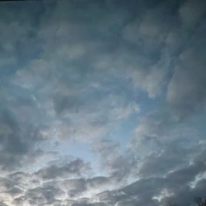 Meet your Posher, Zoe